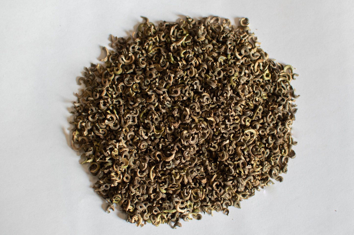 Ringelblume BIO