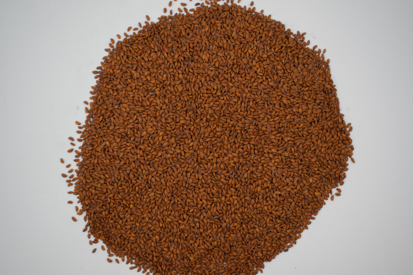 Kresse BIO