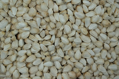 Saflor BIO